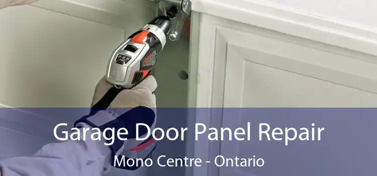 Garage Door Panel Repair Mono Centre - Ontario