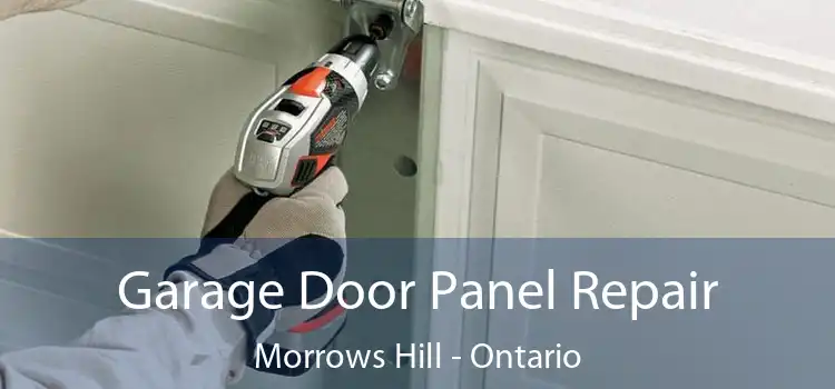 Garage Door Panel Repair Morrows Hill - Ontario