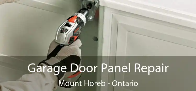 Garage Door Panel Repair Mount Horeb - Ontario