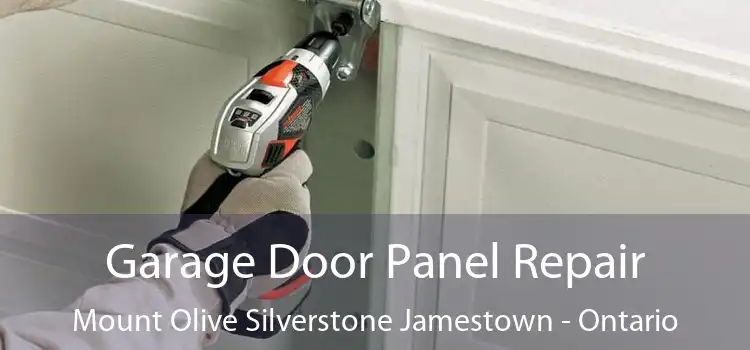 Garage Door Panel Repair Mount Olive Silverstone Jamestown - Ontario