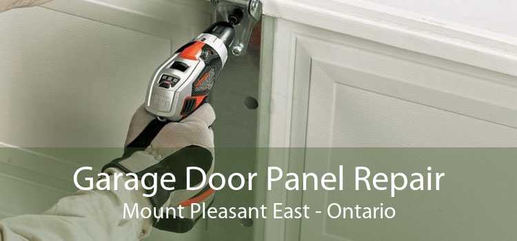 Garage Door Panel Repair Mount Pleasant East - Ontario