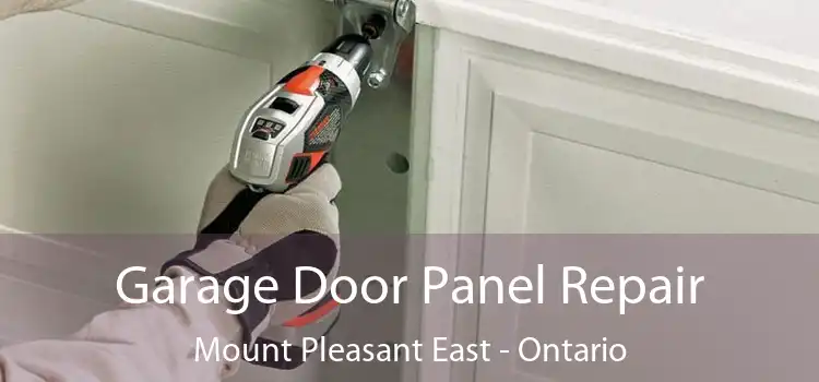 Garage Door Panel Repair Mount Pleasant East - Ontario