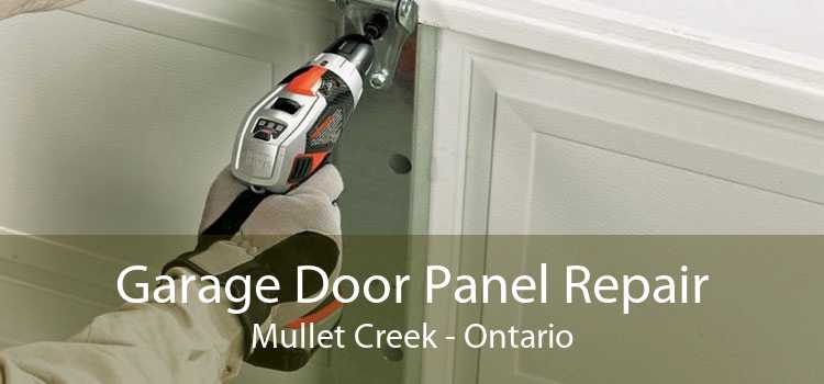 Garage Door Panel Repair Mullet Creek - Ontario