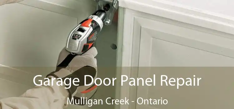 Garage Door Panel Repair Mulligan Creek - Ontario