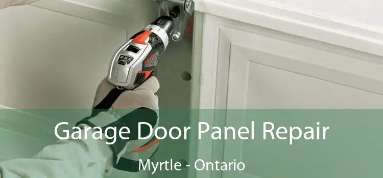 Garage Door Panel Repair Myrtle - Ontario