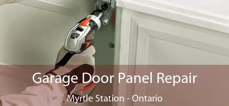 Garage Door Panel Repair Myrtle Station - Ontario