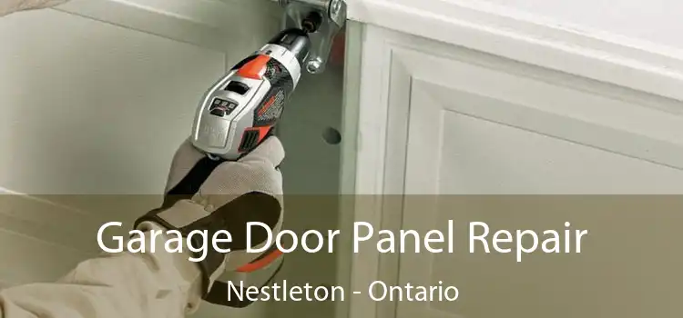 Garage Door Panel Repair Nestleton - Ontario