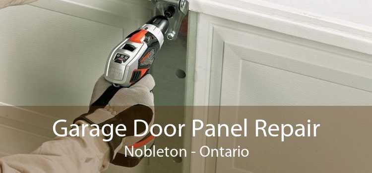 Garage Door Panel Repair Nobleton - Ontario