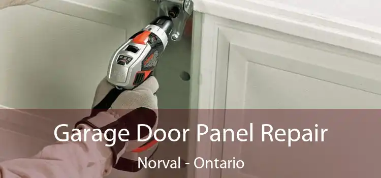 Garage Door Panel Repair Norval - Ontario