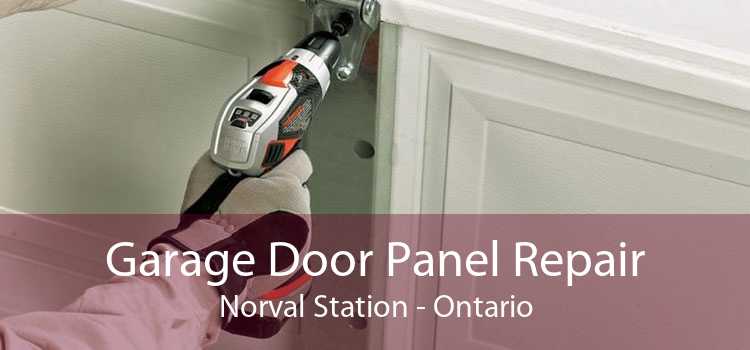 Garage Door Panel Repair Norval Station - Ontario
