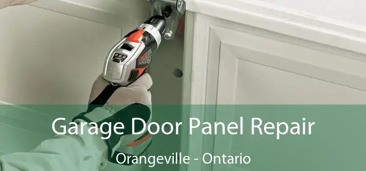 Garage Door Panel Repair Orangeville - Ontario