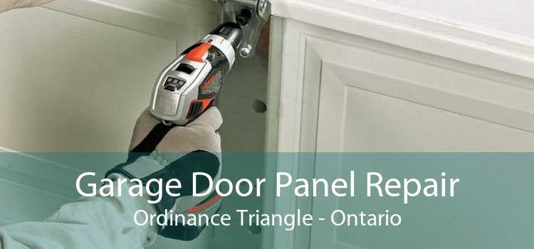 Garage Door Panel Repair Ordinance Triangle - Ontario