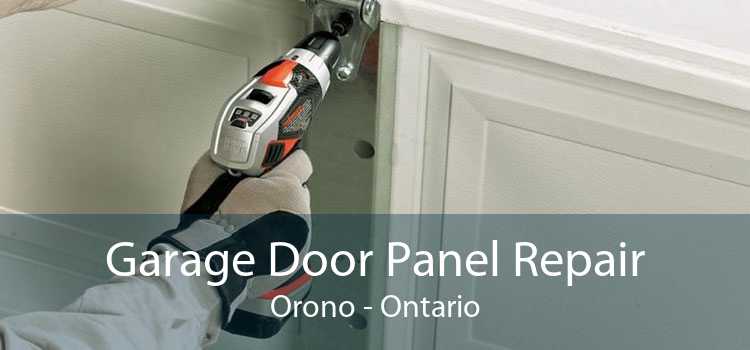 Garage Door Panel Repair Orono - Ontario