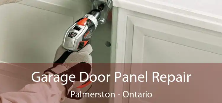Garage Door Panel Repair Palmerston - Ontario