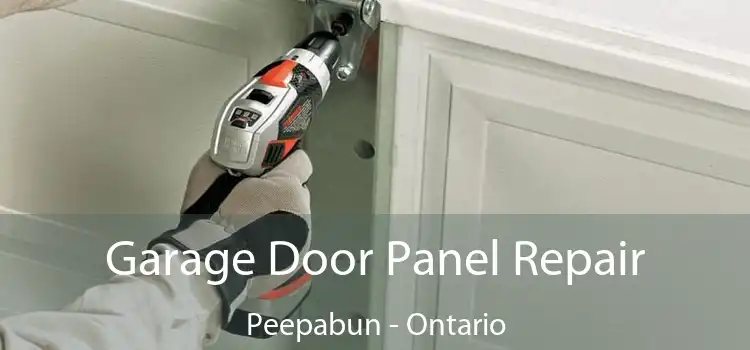 Garage Door Panel Repair Peepabun - Ontario