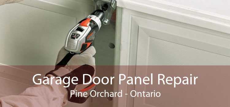 Garage Door Panel Repair Pine Orchard - Ontario