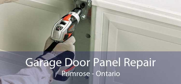Garage Door Panel Repair Primrose - Ontario
