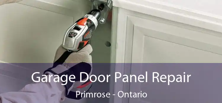 Garage Door Panel Repair Primrose - Ontario