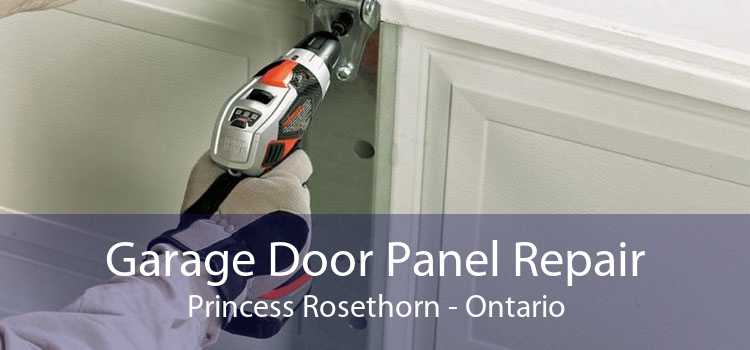 Garage Door Panel Repair Princess Rosethorn - Ontario