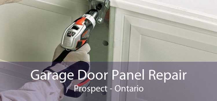 Garage Door Panel Repair Prospect - Ontario