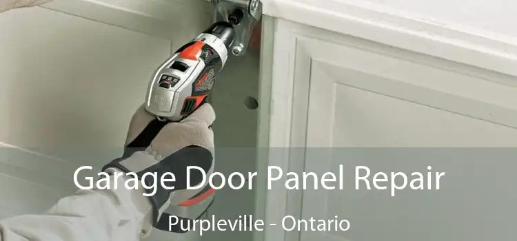 Garage Door Panel Repair Purpleville - Ontario