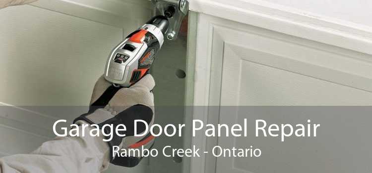 Garage Door Panel Repair Rambo Creek - Ontario
