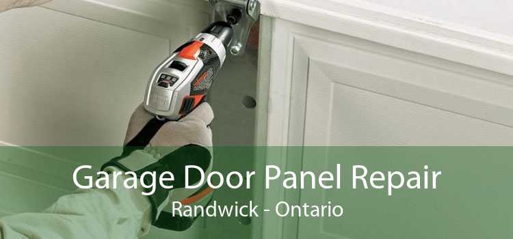 Garage Door Panel Repair Randwick - Ontario