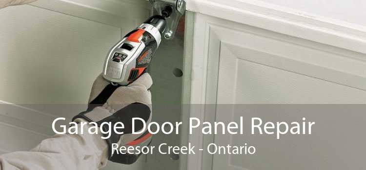 Garage Door Panel Repair Reesor Creek - Ontario
