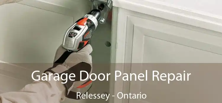 Garage Door Panel Repair Relessey - Ontario