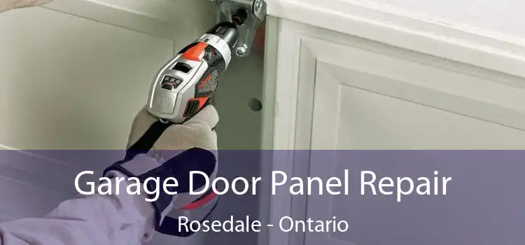 Garage Door Panel Repair Rosedale - Ontario
