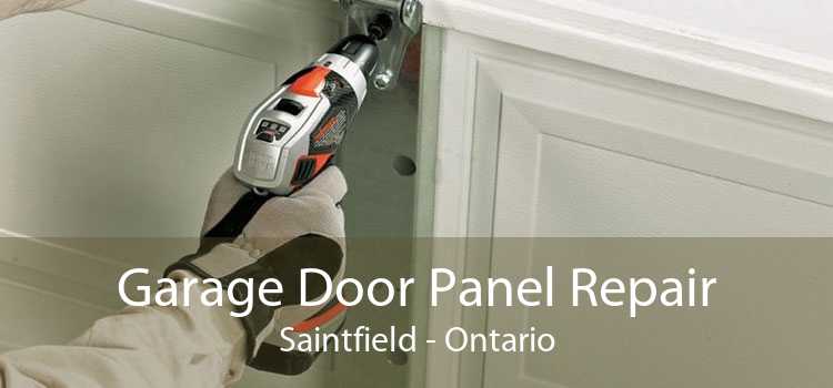 Garage Door Panel Repair Saintfield - Ontario