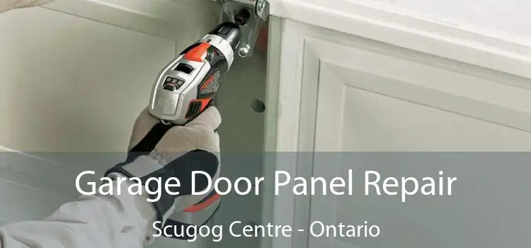 Garage Door Panel Repair Scugog Centre - Ontario