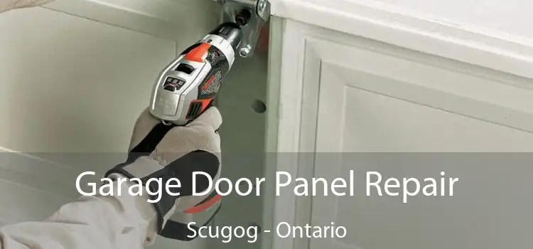 Garage Door Panel Repair Scugog - Ontario