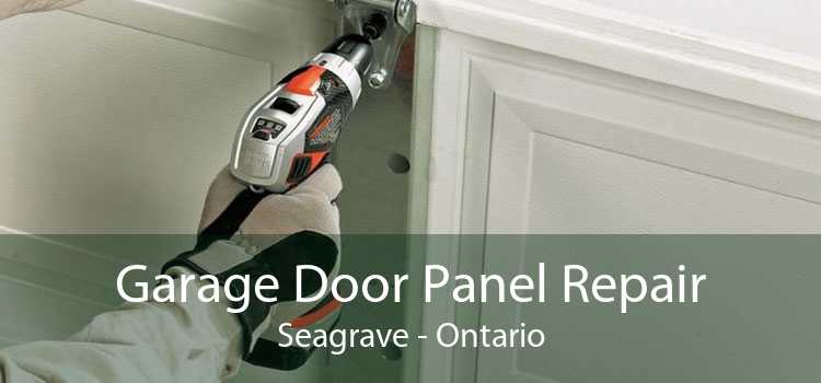 Garage Door Panel Repair Seagrave - Ontario