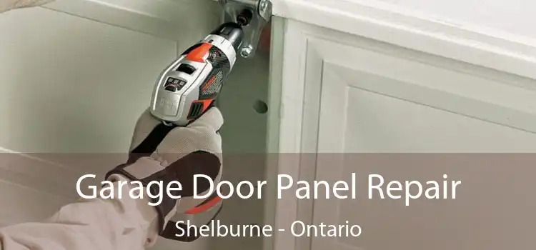 Garage Door Panel Repair Shelburne - Ontario