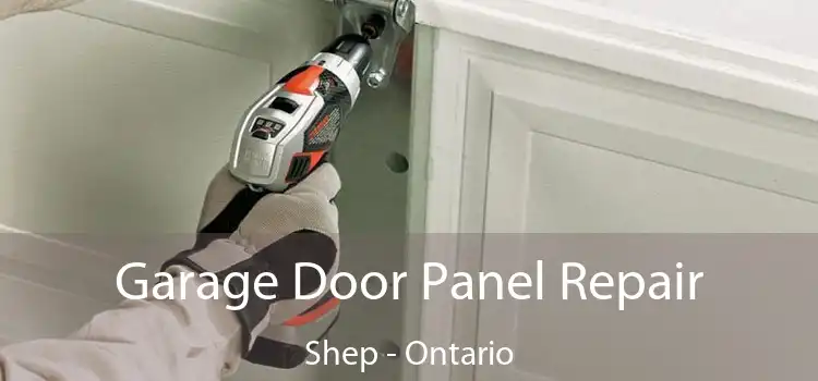 Garage Door Panel Repair Shep - Ontario