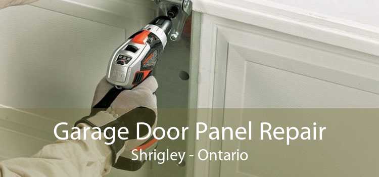 Garage Door Panel Repair Shrigley - Ontario
