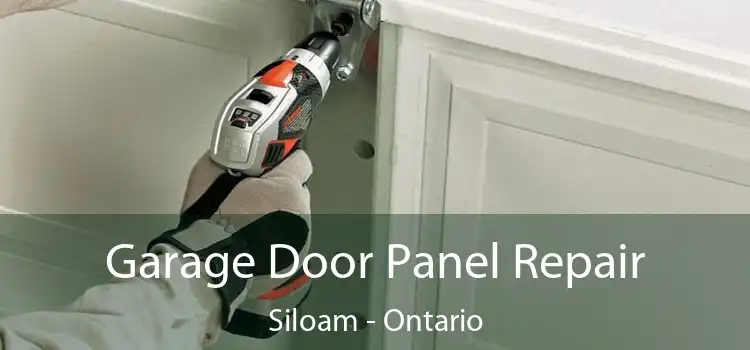 Garage Door Panel Repair Siloam - Ontario