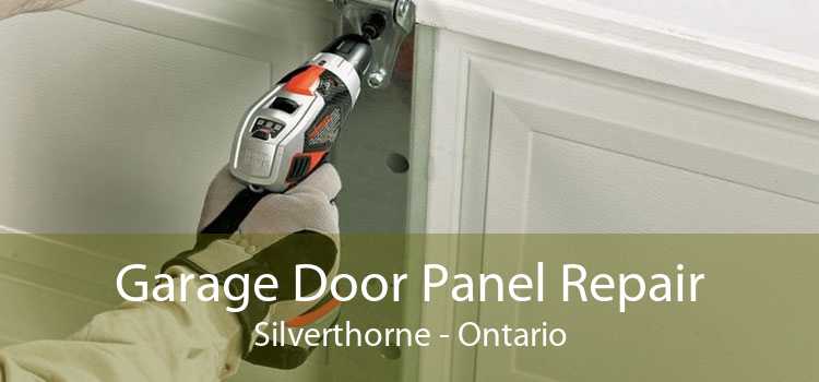 Garage Door Panel Repair Silverthorne - Ontario
