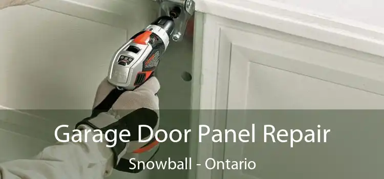 Garage Door Panel Repair Snowball - Ontario