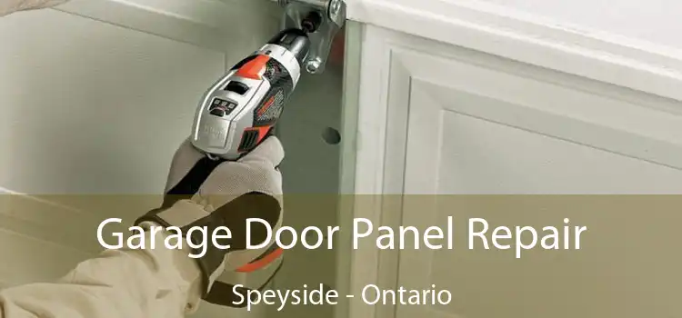 Garage Door Panel Repair Speyside - Ontario