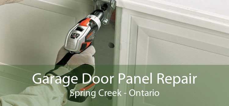Garage Door Panel Repair Spring Creek - Ontario