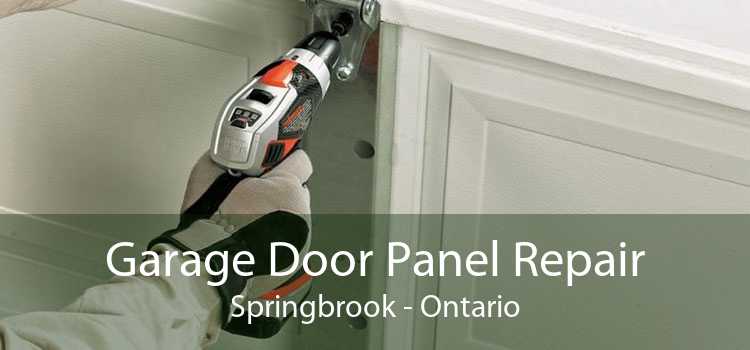 Garage Door Panel Repair Springbrook - Ontario