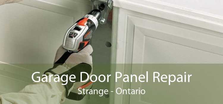 Garage Door Panel Repair Strange - Ontario