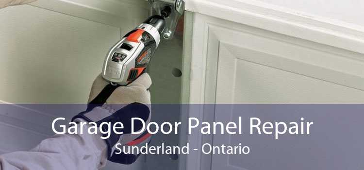 Garage Door Panel Repair Sunderland - Ontario