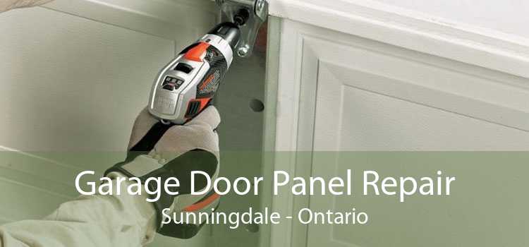 Garage Door Panel Repair Sunningdale - Ontario