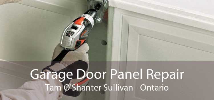Garage Door Panel Repair Tam O'Shanter Sullivan - Ontario