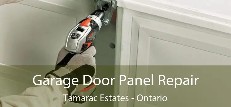 Garage Door Panel Repair Tamarac Estates - Ontario