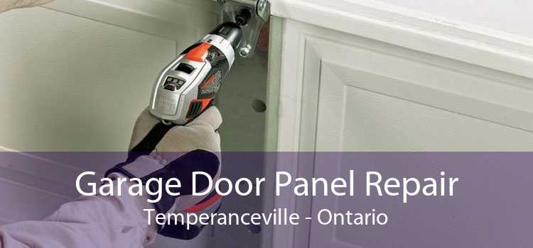 Garage Door Panel Repair Temperanceville - Ontario