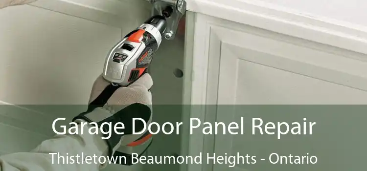 Garage Door Panel Repair Thistletown Beaumond Heights - Ontario